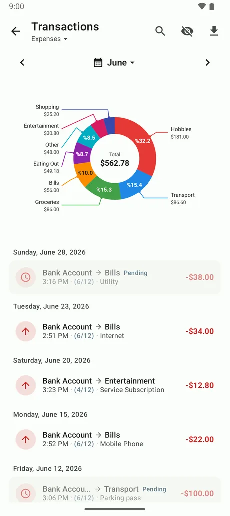Pie chart of expenses broken down by category