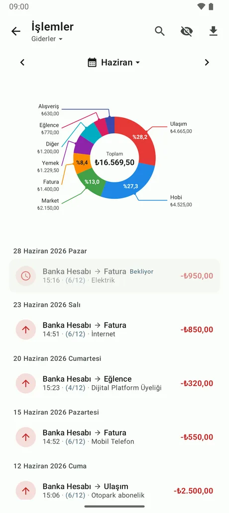 Giderlerin kategori bazlı pasta grafiği